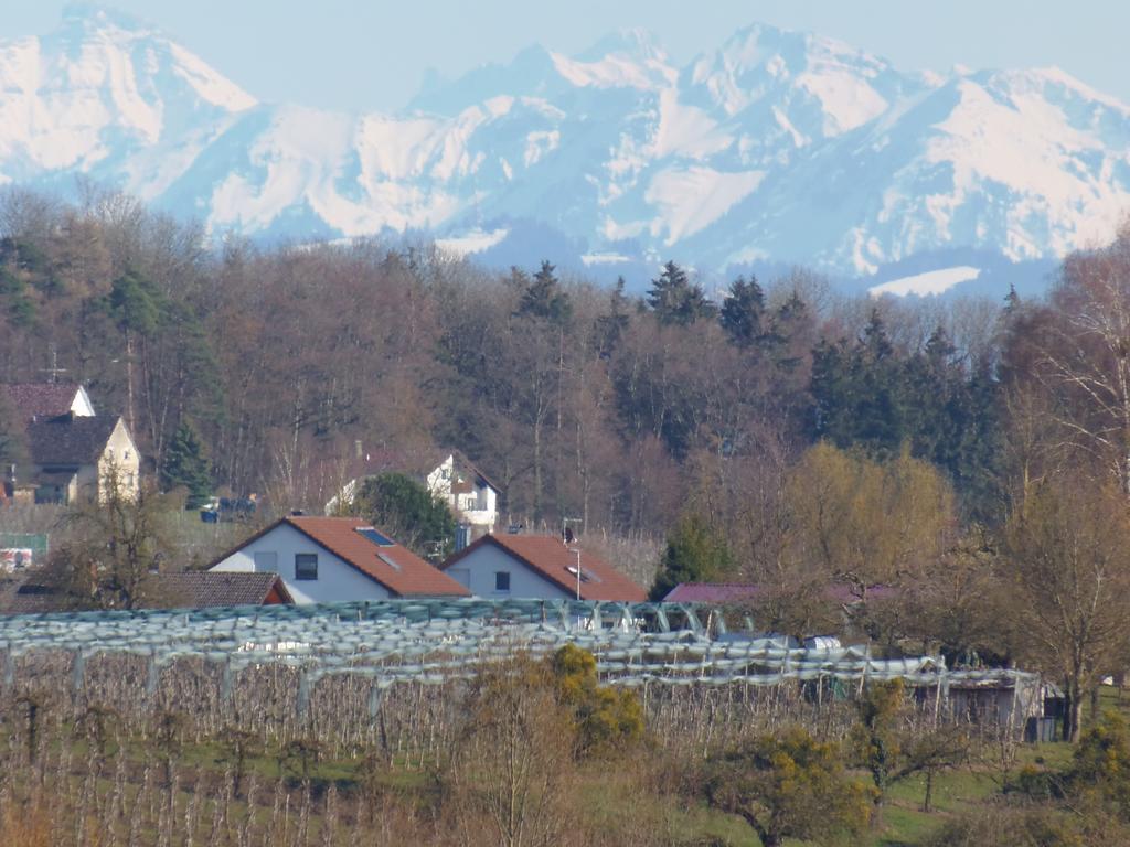 Ferienwohnung Desirée Friedrichshafen Exterior foto