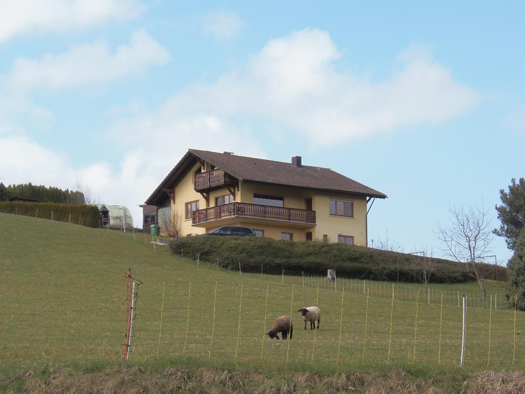 Ferienwohnung Desirée Friedrichshafen Exterior foto